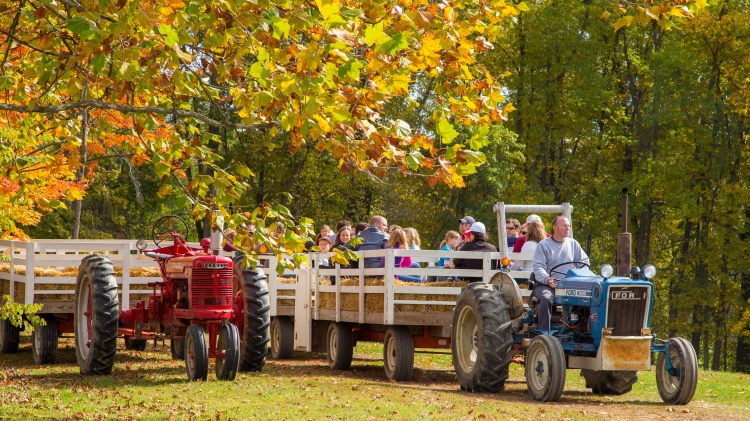 farm hay ride fall 2014