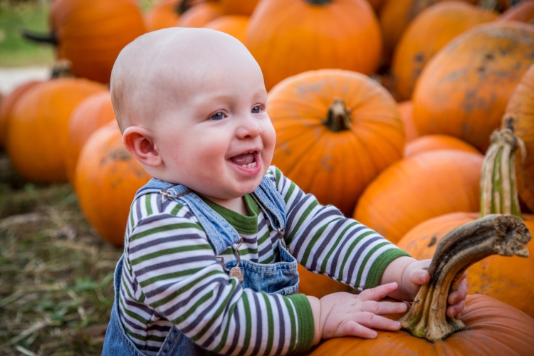 jacob pumpkins 11 months old 2014